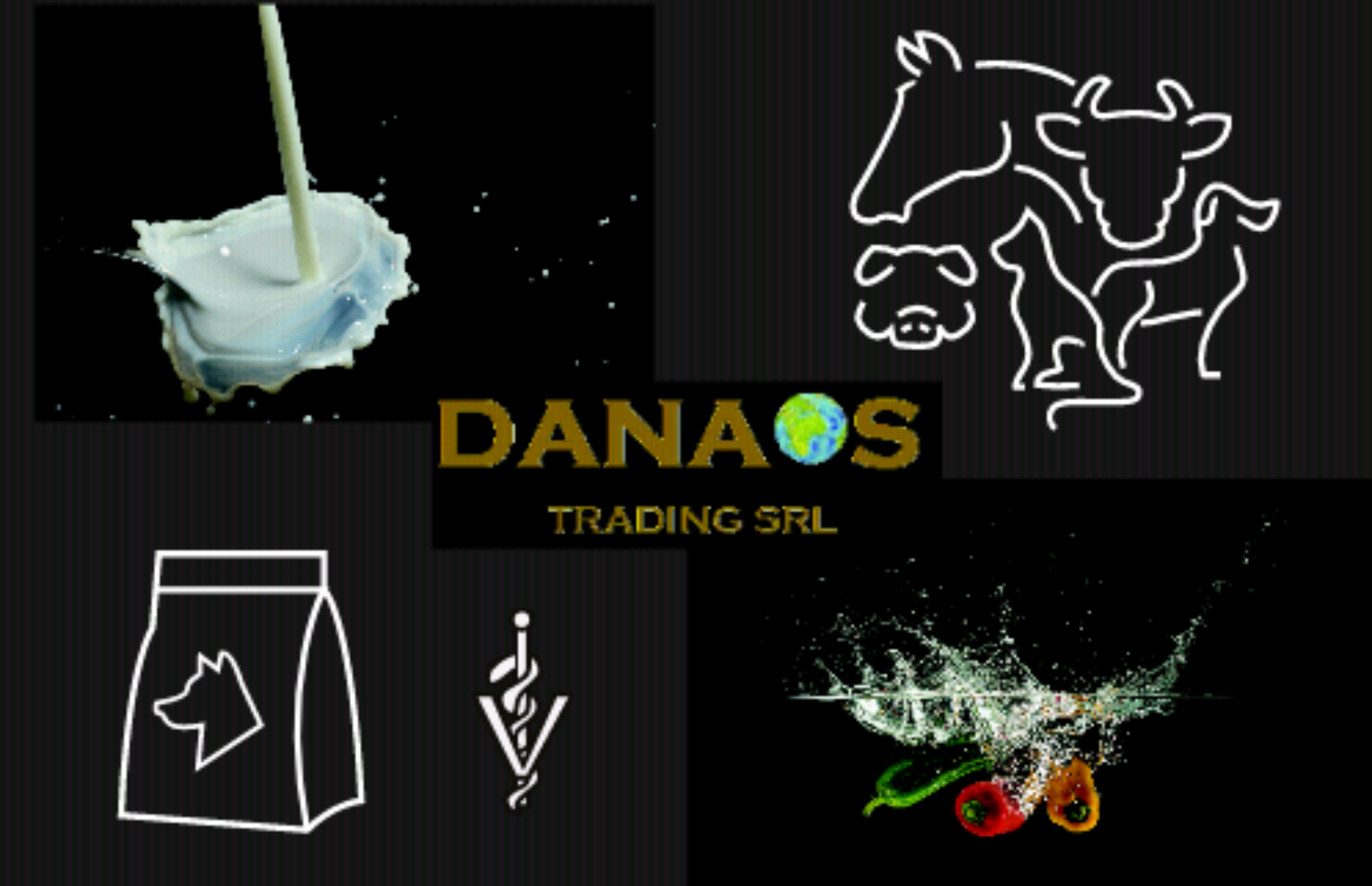 Danaos Trading Srl